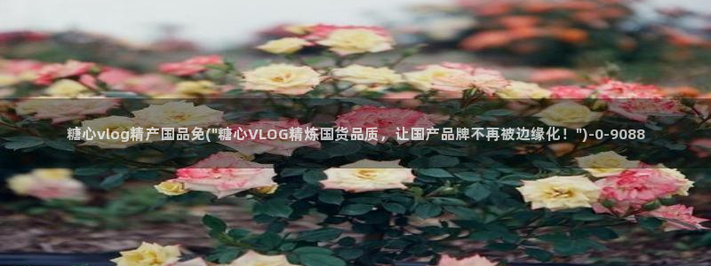 糖心在线观看vlog：糖心vlog精产国品免(\