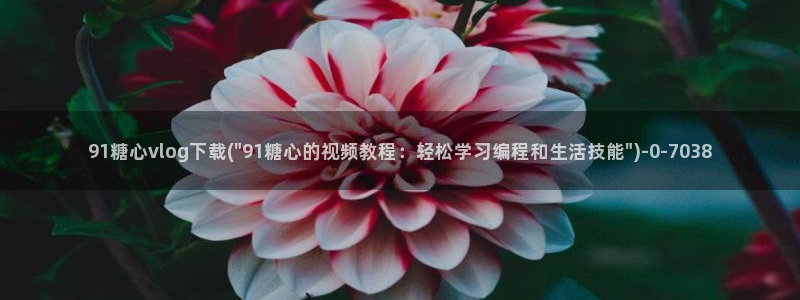 糖心vlog产精国品：91糖心vlog下载(\