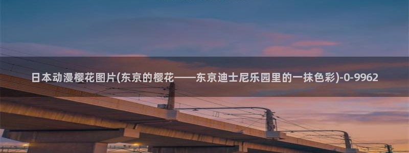 樱花动漫手机版：日本动漫樱花图片(东京的樱花——东京迪士尼乐