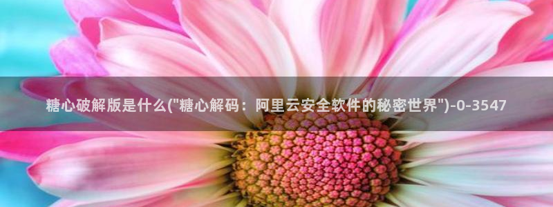 该看糖心vlog了