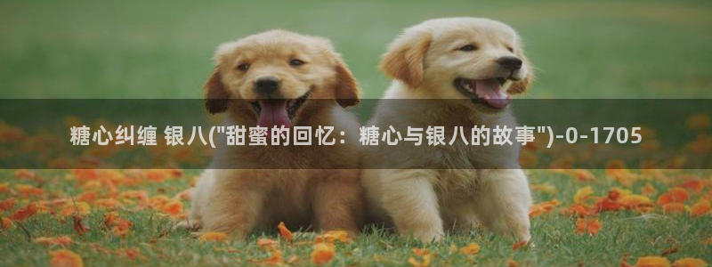 糖心vlog 下载